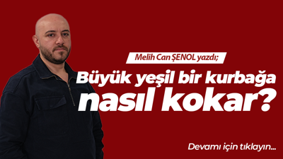 Büyük yeşil bir kurbağa nasıl kokar?