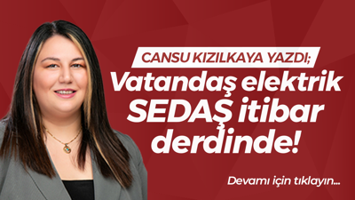 Vatandaş elektrik SEDAŞ itibar derdinde!