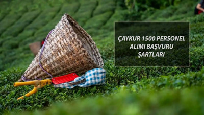 ÇAYKUR PERSONEL ALIMI SON GÜN: ÇAYKUR 1500 İşçi Alımı Başvurusu Nasıl Yapılır?