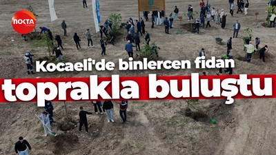 Kocaeli'de binlercen fidan toprakla buluştu