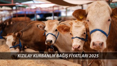 KIZILAY KURBANLIK BAĞIŞ 2025 FİYATLARI | Kızılay Vekaletle Kurban Bağışı Nasıl Yapılır?