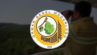 Orman Genel Müdürlüğü Sonuçları: OGM 3477 Personel Başvuru Sonuçları Ne Zaman Açıklanacak?