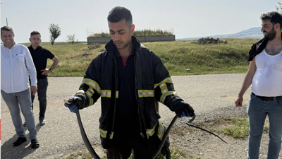 Çatıdaki yılan paniğe sebep oldu