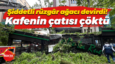 Şiddetli rüzgâr ağacı devirdi! Kafenin çatısı çöktü