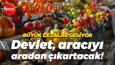 Büyük cezalar geliyor… Devlet aracıyı aradan çıkartacak!