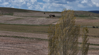 Bozkırda "fil ailesi"... Kayaları görenler hayret ediyor