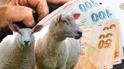 4A, 4B, 4C Emekli Maaşı Ödemeleri : Emekli Maaşları Bayramdan Önce Yatacak Mı?