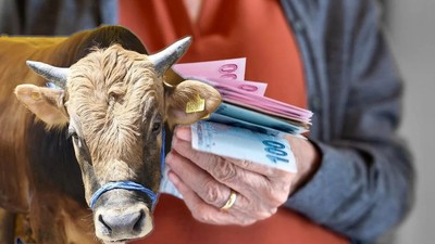 Maaşlar Kurbandan Önce Verilecek Mi? Kurban Bayramı Öncesi Memur Emekli Maaşları Ödenecek Mi?