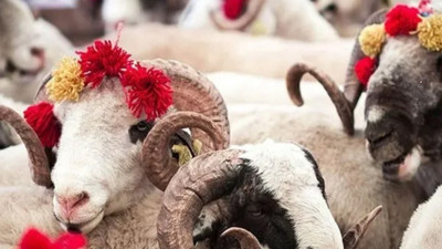 KURBAN BAYRAMI TEBRİK MESAJLRI 2025 | Resimli, Değişik, Duygusal Bayram Kutlama Mesajları