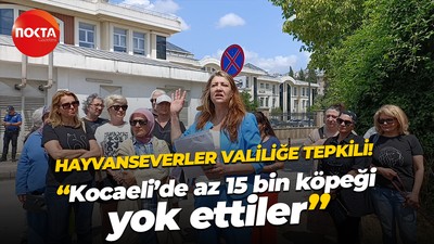 Hayvanseverler Valiliğe tepkili! “Kocaeli’de az 15 bin köpeği yok ettiler”