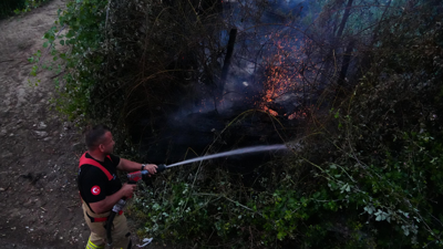 Havalar ısındı, yangınlar başladı: Mehmet Ali Kahraman'dan anız yangını açıklaması!