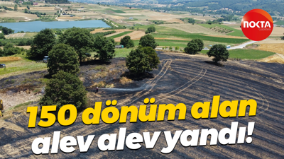 150 dönüm alan alev alev yandı!
