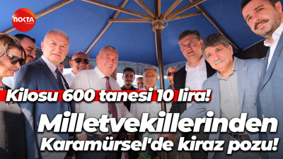 Milletvekillerinden Karamürsel'de kiraz pozu! Kilosu 600 tanesi 10 lira!