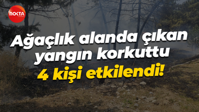 Ağaçlık alanda çıkan yangın korkuttu... 4 kişi etkilendi!