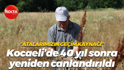 “Atalarımızın geçim kaynağı” Kocaeli’de 40 yıl sonra yeniden canlandırıldı