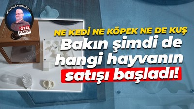 Ne kedi ne köpek ne de kuş… Bakın şimdi de hangi hayvanın satışı başladı!
