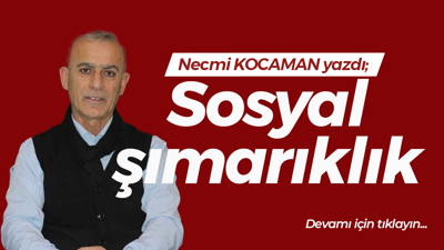 Sosyal şımarıklık