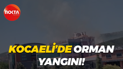 Kocaeli’de orman yangını!
