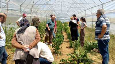 Kandıra'da vatandaşa örtüaltı bilgilendirmesi yapıldı