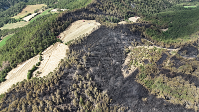 Orman yangınında 25 hektarlık alan küle döndü! Havadan görüntülendi