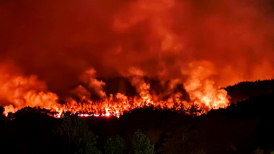 Orman yangınına ilişkin mahkemeden karar geldi!
