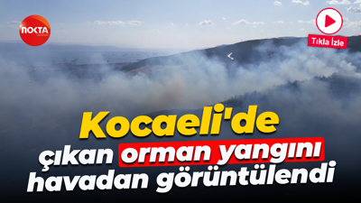 Kocaeli'de çıkan orman yangını havadan görüntülendi