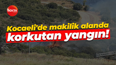 Kocaeli'de makilik alanda korkutan yangın!