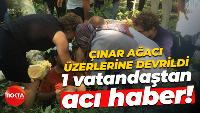 Çınar ağacının kopan dalı vatandaşların üzerine düşmüştü... 1 vatandaştan acı haber!