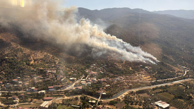 Merak ediliyor... Ormanları kim yaktı?