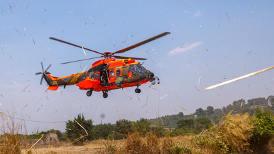 İspanya’da orman yangını: 2 bin 377 hektarlık alan yandı