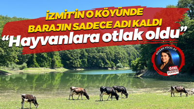 İzmit Bayraktar Barajı’nda su metrelerce çekildi: Barajın sadece adı kaldı!