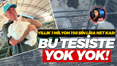 İzmitli üretici tavşan çiftliğini Nokta Medya’ya anlattı: Bu tesiste yok yok!
