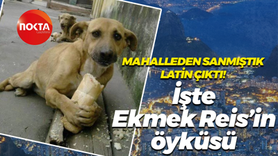 Mahalleden sanmıştık Latin çıktı! İşte Ekmek Reis'in öyküsü