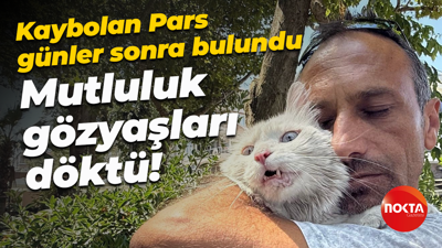 Kaybolan Pars günler sonra bulundu... Mutluluk gözyaşları döktü!