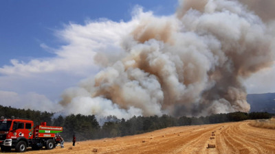 Anız yangını ormana sıçradı!