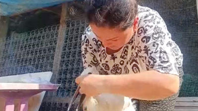 Yaralı leyleğe merhamet dokunuşu