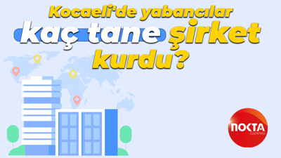 Kocaeli'de yabancılar kaç tane şirket kurdu?