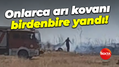 Onlarca arı kovanı birdenbire yandı!