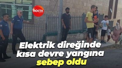 Elektrik direğinde kısa devre yangına sebep oldu