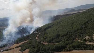 ÇANAKKALE YANGININDA SON DURUM: Çanakkale Orman Yangını Söndürüldü Mü?