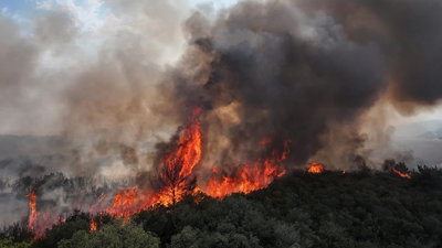 Tarım ve Orman Bakanı İbrahim Yumaklı: Çanakkale Gelibolu yangını tamamen kontrol altına alınmıştır