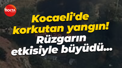 Kocaeli'de korkutan yangın! Rüzgarın etkisiyle büyüdü...
