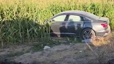 Kazada iki otomobil mısır tarlasına savruldu: Çok sayıda yaralı var!