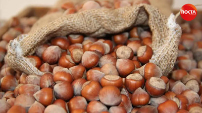 Fındık fiyatı ne kadar? Fındık kaç TL? (5 Eylül 2025)