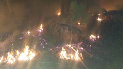 Muğla'daki orman yangını söndürüldü!