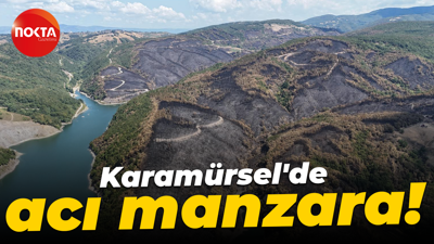 Karamürsel'de acı manzara: Yangının tahribatı gözler önüne serildi!