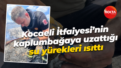 Kocaeli İtfaiyesi’nin kaplumbağaya uzattığı su yürekleri ısıttı
