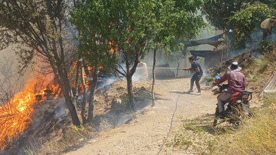 Malatya'da orman yangını! Alevlerle mücadele devam ediyor