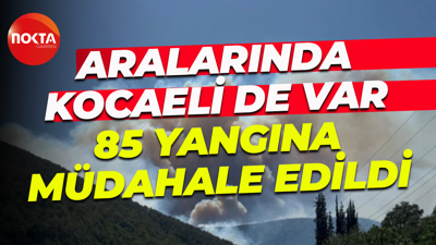 Aralarında Kocaeli de var... Hafta sonu 85 yangına müdahale edildi