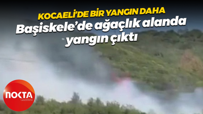 Kocaeli’de bir yangın daha; Başiskele’de ağaçlık alanda yangın çıktı